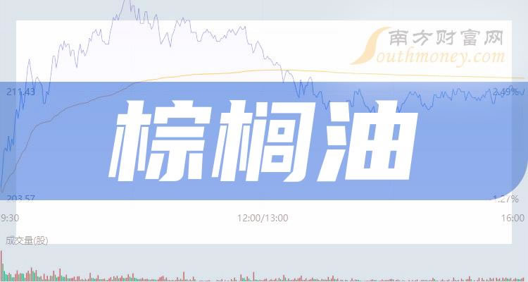 ��2023������͸����������