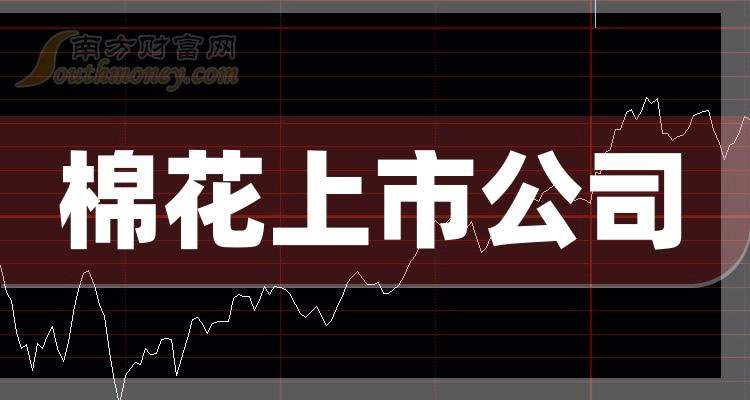 《创业板的棉花上市公司有哪些》
