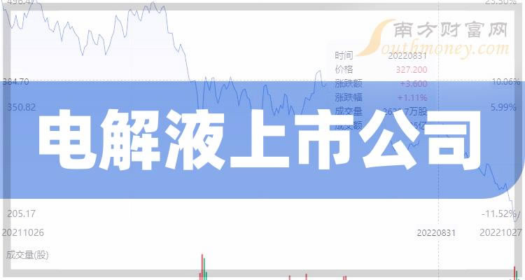 《电解液上市公司十强第三季度股票毛利率的排名》