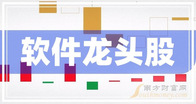 《软件三大龙头股附龙头股名单》