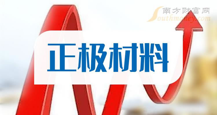 《三家正极材料龙头股名单》