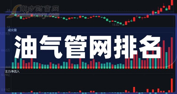 《油气管网十大相关企业排行榜2023第三季度股票净利率排名》