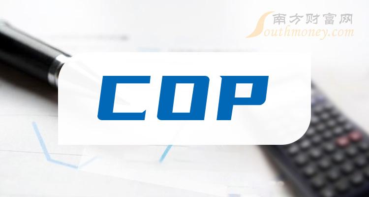 ��COP���й�˾��ͷ��Ʊ����Щ��